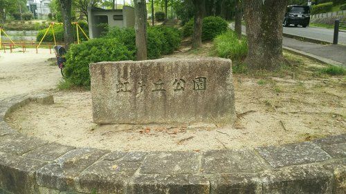 虹ヶ丘公園の画像