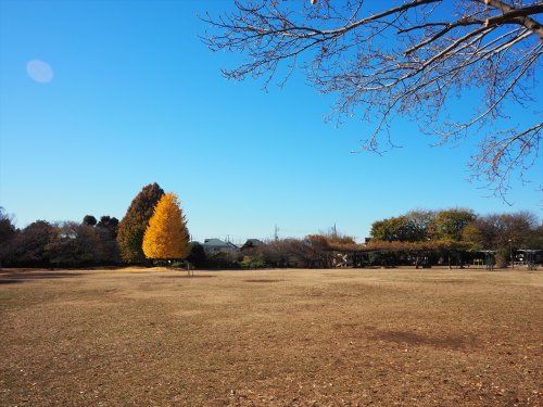 立野公園の画像