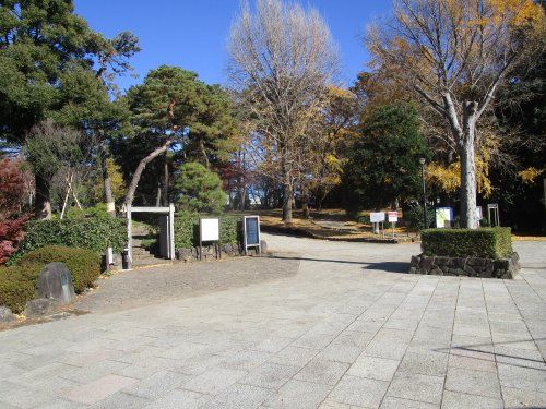 大宮公園の画像