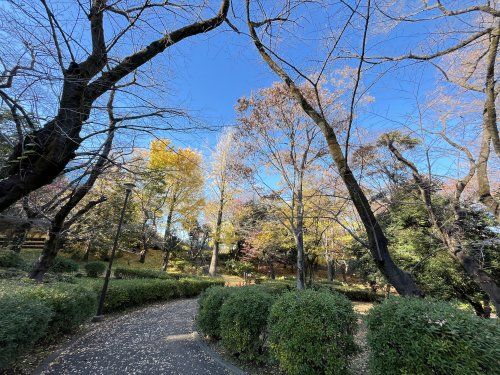 三ツ沢公園の画像