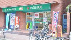 セガミ薬局 日本橋店の画像