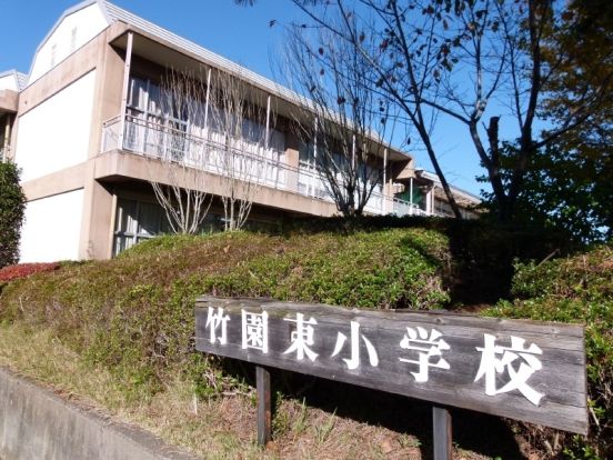 つくば市立 竹園東小学校の画像