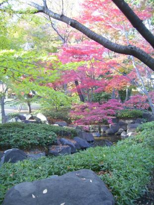 大田黒公園の画像