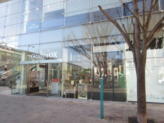 OdakyuOX経堂店の画像