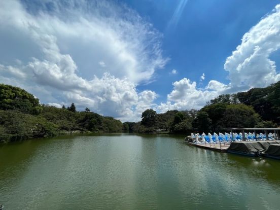 井の頭自然文化園の画像