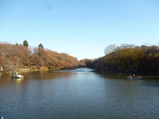 井の頭恩賜公園の画像