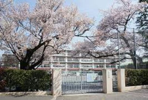 杉並区立馬橋小学校の画像