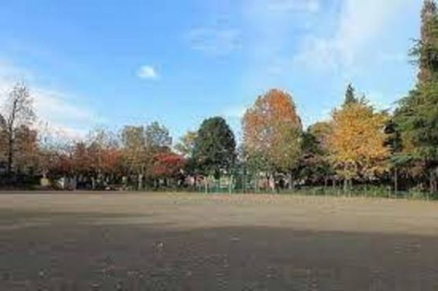 馬橋公園運動広場の画像