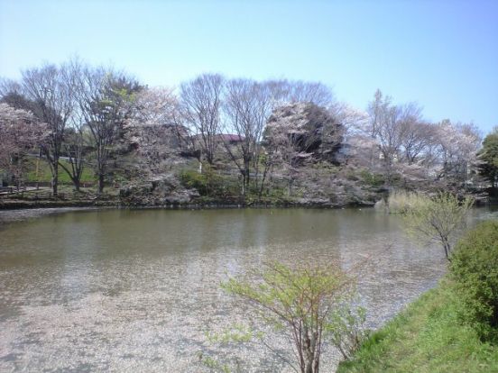 菊名池公園の画像