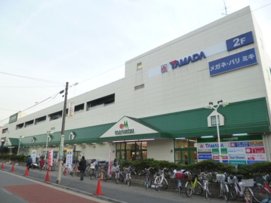 ヤマダ電機テックランド大田糀谷店の画像