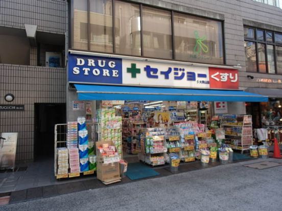 くすりセイジョー大岡山店の画像