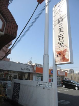 トリミングサロン アラモード三郷店の画像