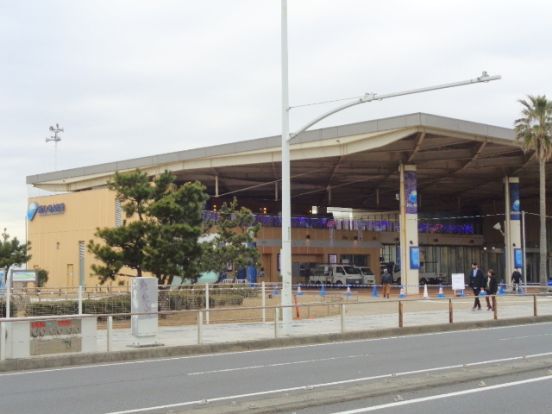 新江ノ島水族館の画像