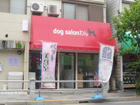 ｄｏｇｓａｌｏｎわんの画像