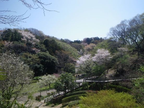 鎌倉中央公園の画像