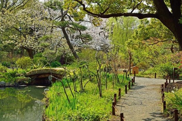 向島百花園の画像