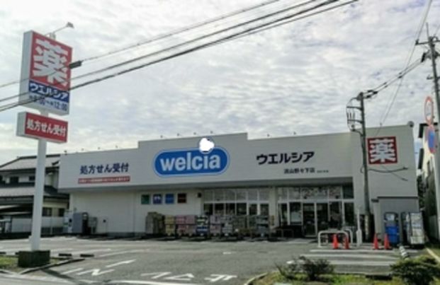 ウエルシア流山野々下店の画像