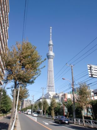 東京スカイツリーの画像