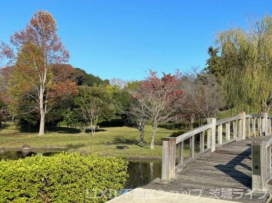 川口公園の画像