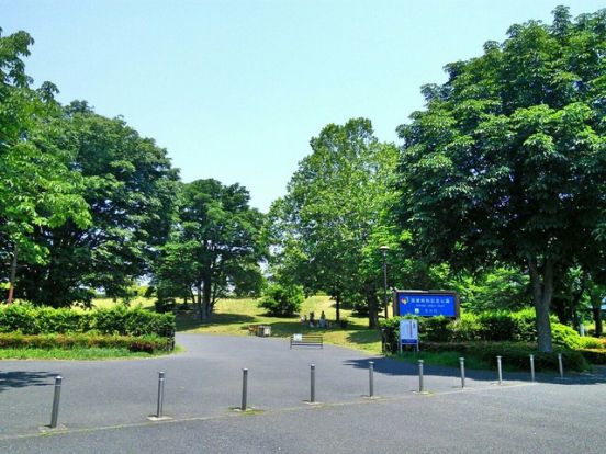 国営昭和記念公園の画像