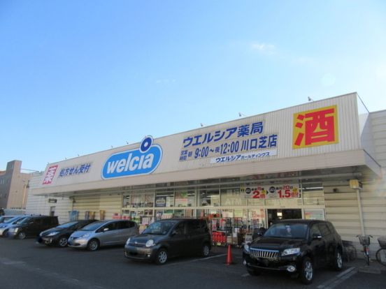 ウエルシア川口芝店の画像