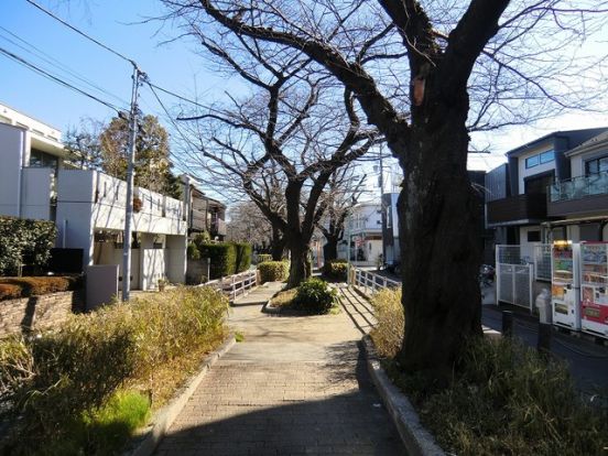 呑川緑道の画像