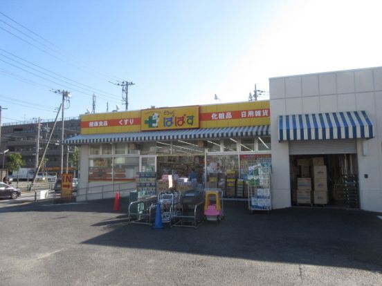 どらっぐぱぱす島根店の画像