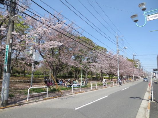 新松戸中央公園の画像