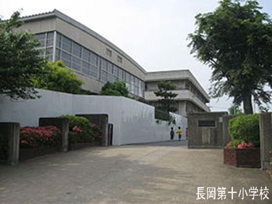 長岡京市立長岡第十小学校の画像