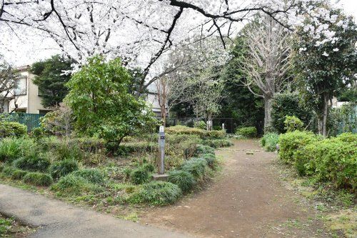 十条野鳥の森緑地の画像