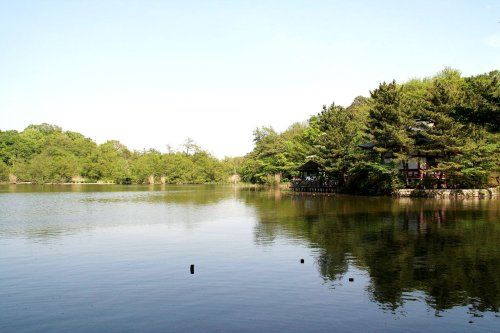 石神井公園第1駐車場の画像