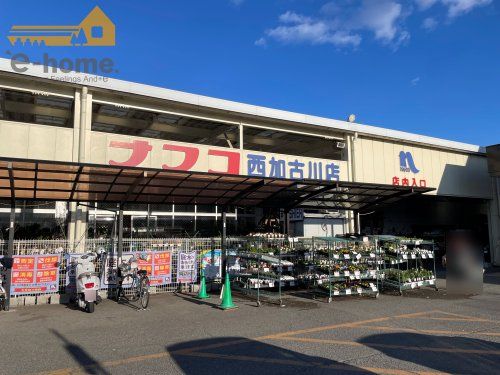 ホームプラザナフコ 西加古川店の画像