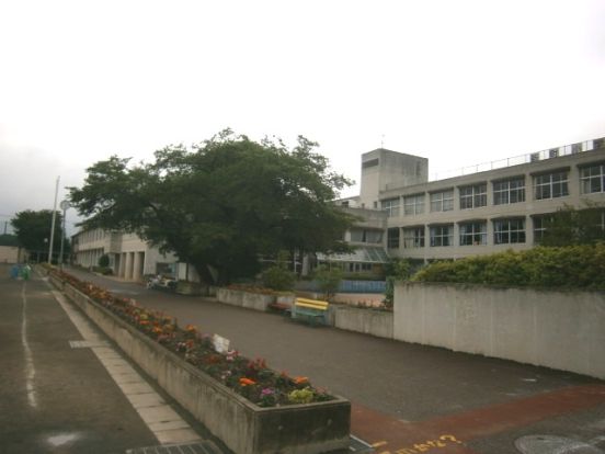 鶴ヶ島市立 新町小学校の画像
