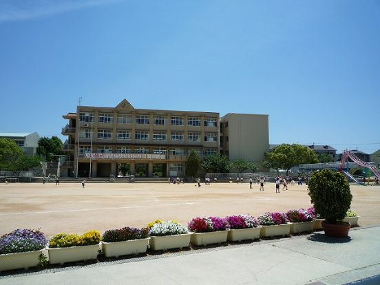 神戸市立長坂小学校の画像