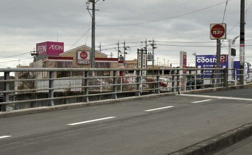 ガスト 豊田上野店(から好し取扱店)の画像