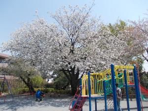 東中公園の画像