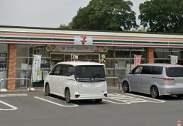 セブンイレブン 藤岡町藤岡店の画像