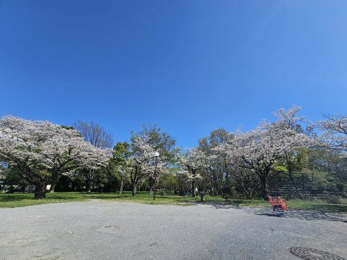 都立水元公園（旧桜公園地区）の画像