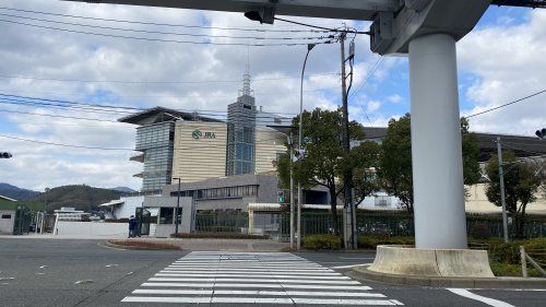 小倉競馬場の画像