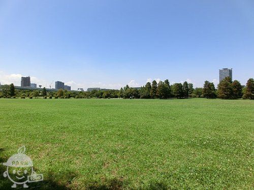 辰巳の森海浜公園 多目的広場の画像