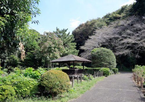 芹沢公園の画像