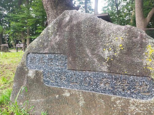 越後山憩いの森緑地の画像