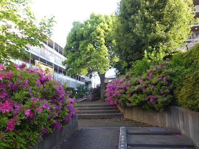 中郷緑地の画像