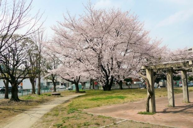 天神公園	の画像