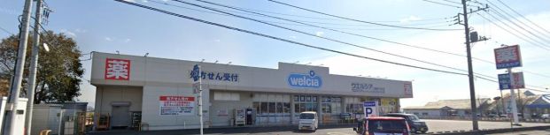 ウエルシア下妻新千代川店の画像