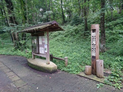 都立滝山公園の画像