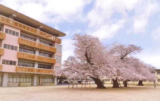 土浦市真鍋小学校の画像