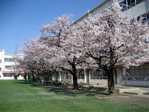 板橋区立高島第六小学校の画像