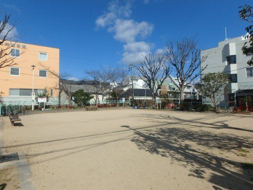 湊菊公園の画像