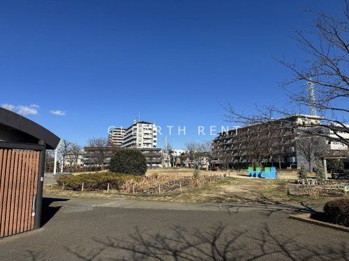 曳舟川親水公園の画像